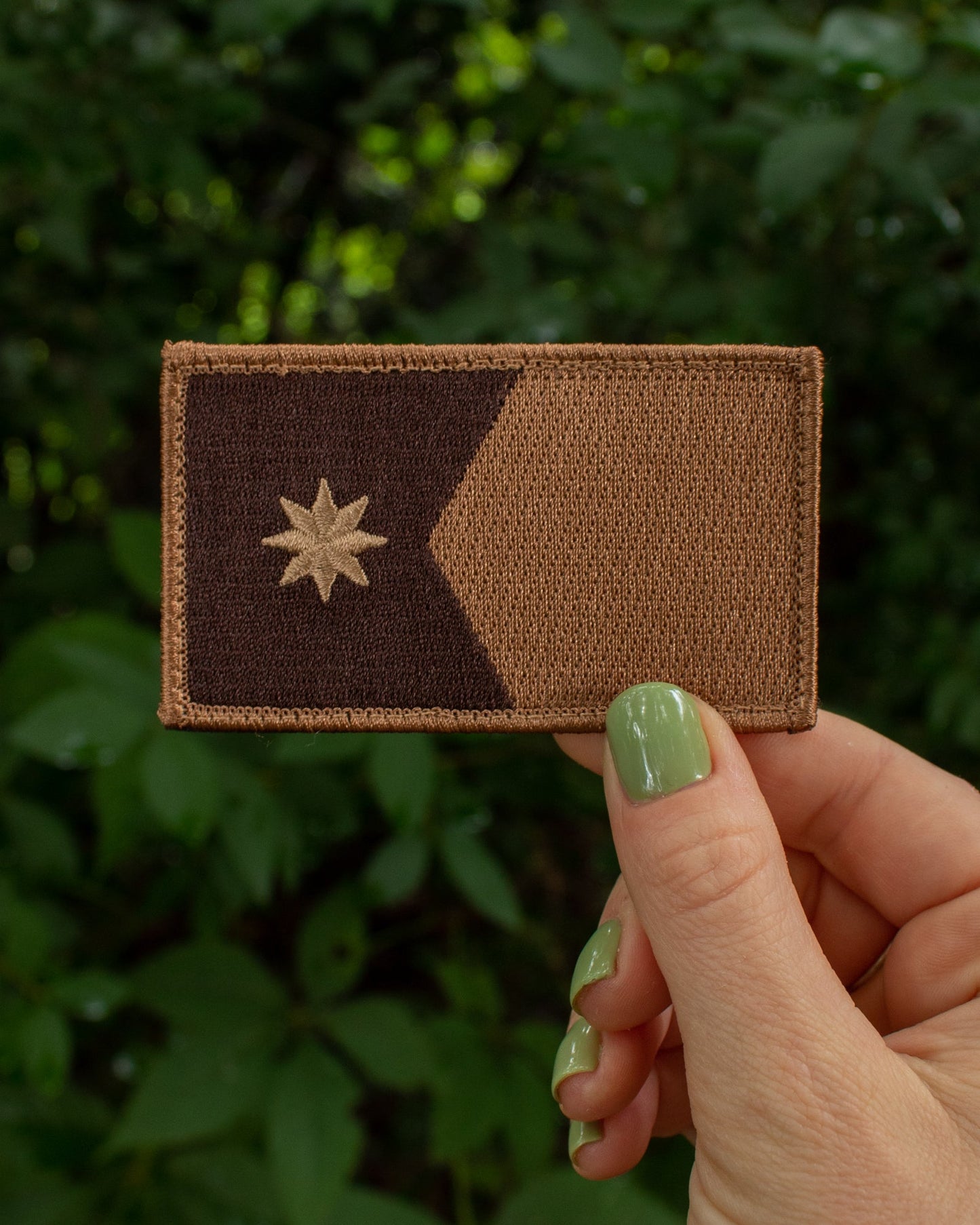 Desert Subdued Minnesota State Flag